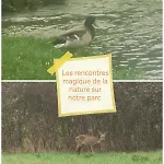 Les Nuits Etoilees Du Moulin Petit Dejeuner Inclus