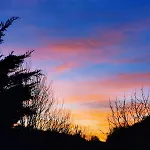 Les Nuits Etoilees Du Moulin Petit Dejeuner Inclus *