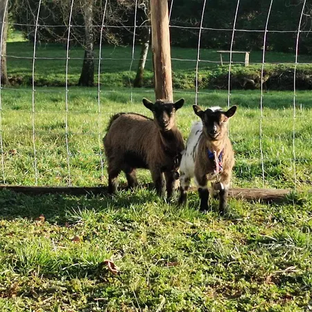 Les Nuits Etoilees Du Moulin Petit Dejeuner Inclus *