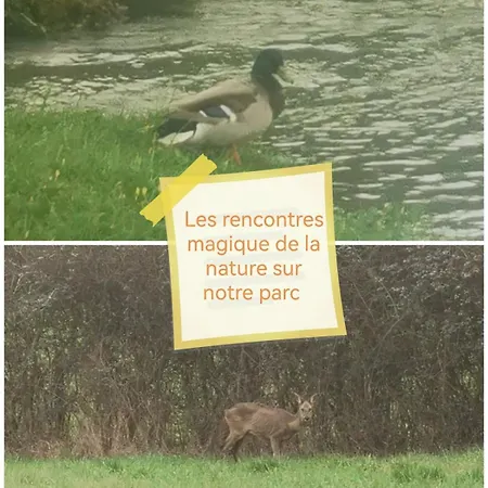 Les Nuits Etoilees Du Moulin Petit Dejeuner Inclus