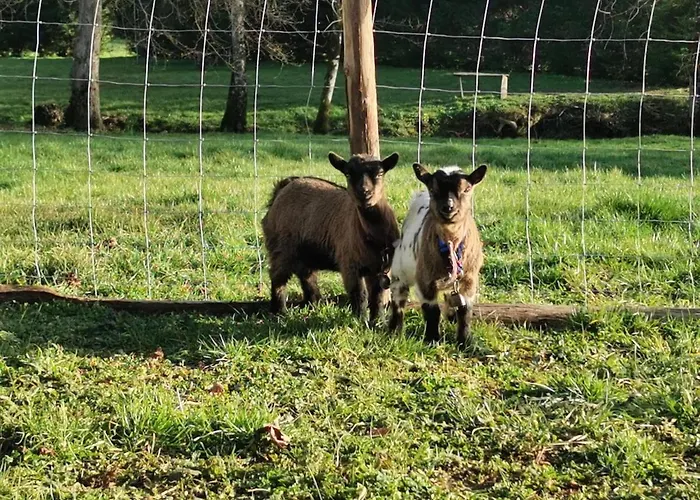 Les Nuits Etoilees Du Moulin Petit Dejeuner Inclus *